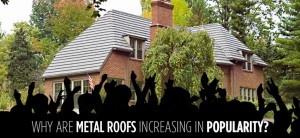 metal-roofs-popularity-American-Metal-Roofs